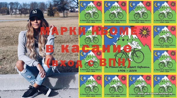 хмурый Алзамай