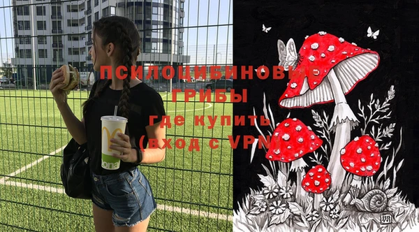хмурый Алзамай