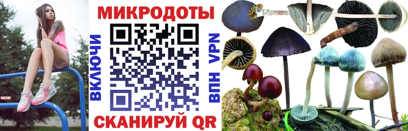 Псилоцибиновые грибы Magic Shrooms  цена   Тосно 