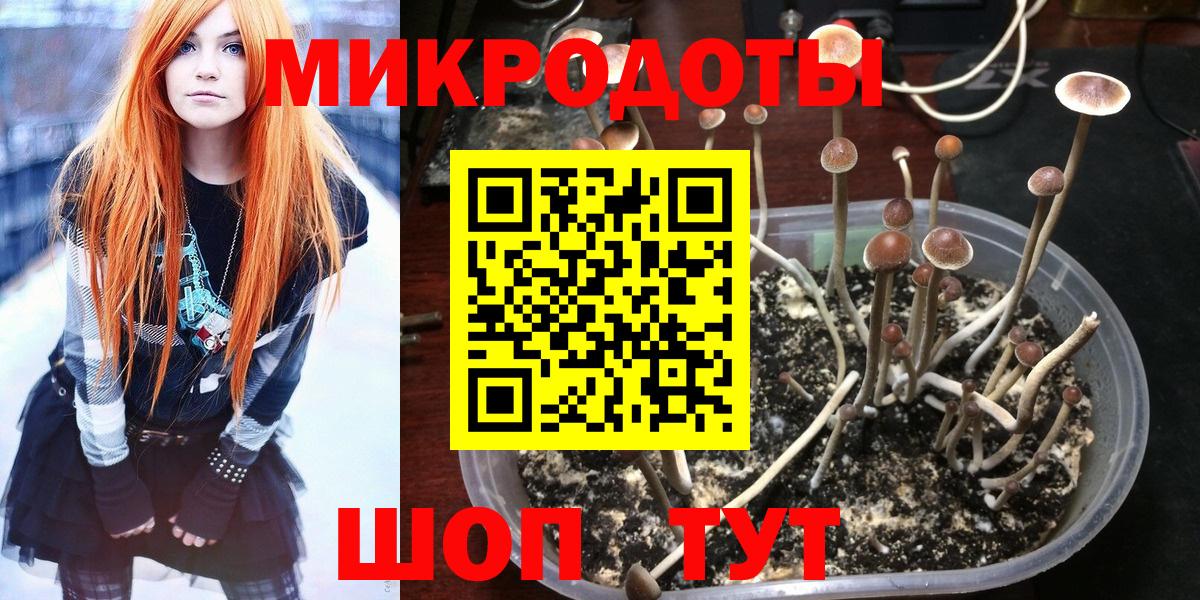 Псилоцибиновые грибы Magic Shrooms  Вход с VPN  Тосно 