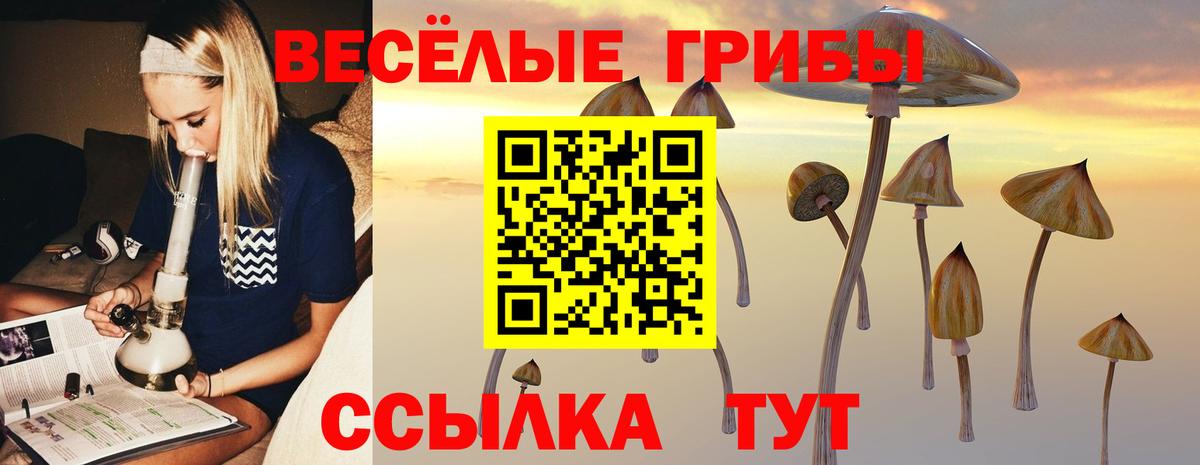 Псилоцибиновые грибы Magic Shrooms Тосно
