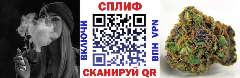 Бошки марихуана AK-47 Тосно